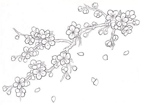 We did not find results for: cherry blossom drawing images - Google Search | Drawing in ...