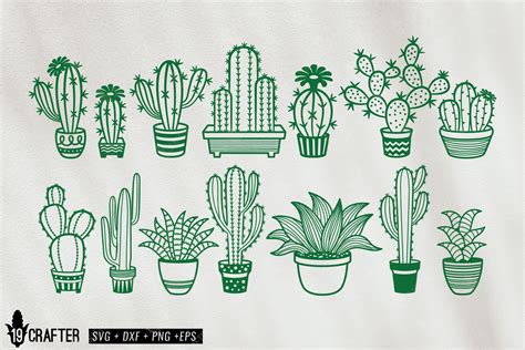 Cute Cacti Cactus And Succulent Svg Bundle By Greatype19 TheHungryJPEG