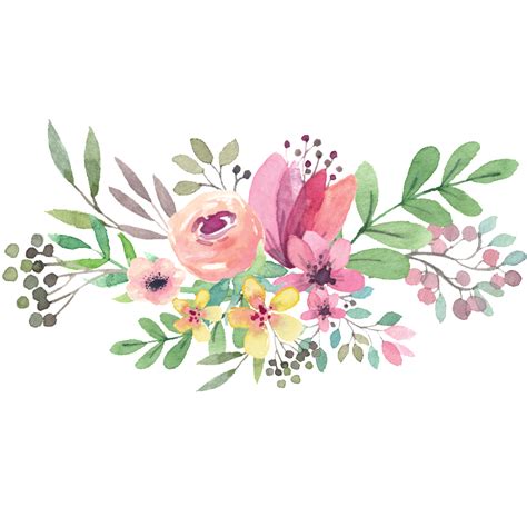 Watercolor Flowers Png Images Transparent Free Download