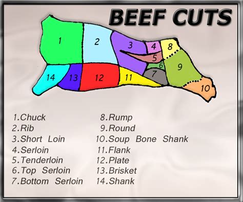 Identifying Beef Cuts