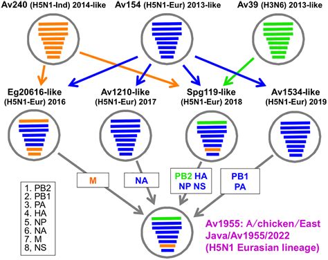 Whole Genome Sequence And Genesis Of An Avian Influenza Virus H5n1