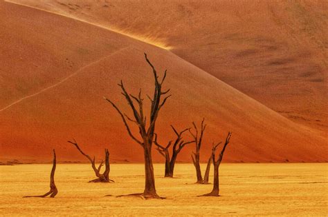 Sossusvlei Namibia Sand Dunes Photos And Information