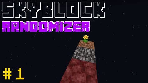 Skyblock Randomizer 1 Der Anfang Youtube