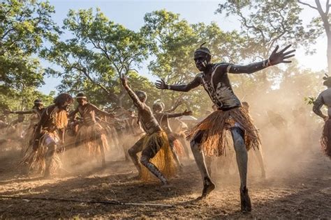 Gallery Queenslands Laura Aboriginal Dance Festival Australian