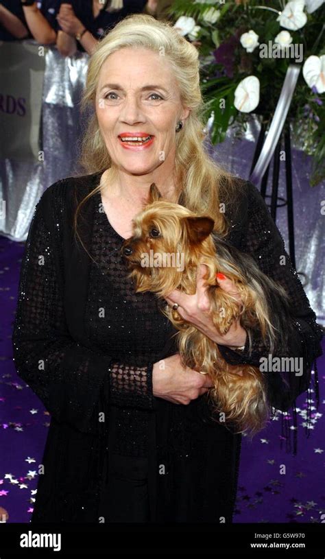 Shirley Stelfox High Resolution Stock Photography And Images Alamy