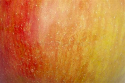 Red Apple Close Up Details Micro Shoot Stock Photo Image Of Abstract