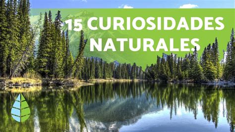 15 Curiosidades De La Naturaleza Que Te Sorprenderán Youtube