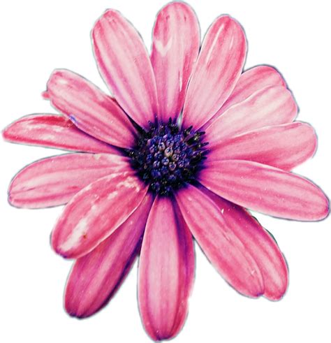 flower - Sticker by avisbella