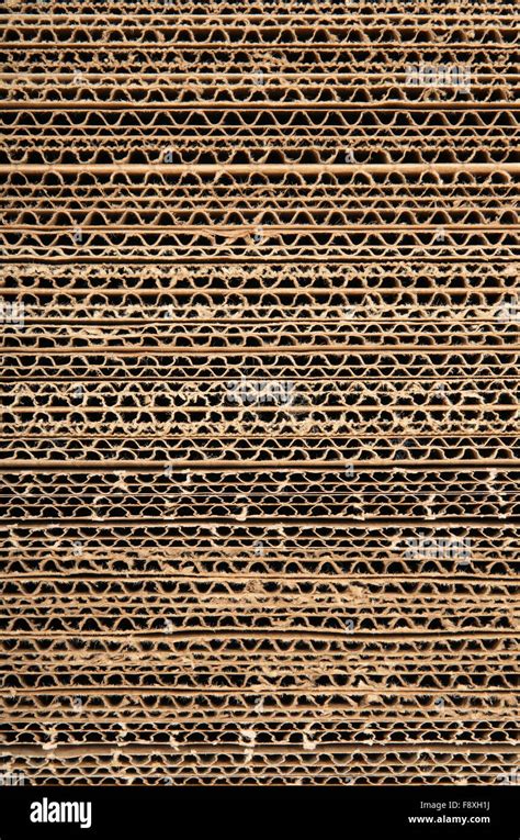 Corrugated Cardboard Texture Stock Photo Alamy