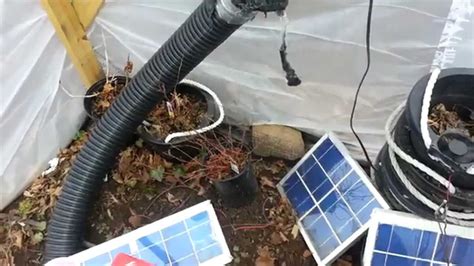 GreenHouse Update Swiss Chard Seedlings Passive Heating Experiments YouTube