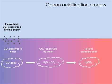 Ppt What Is Ocean Acidification Powerpoint Presentation Free