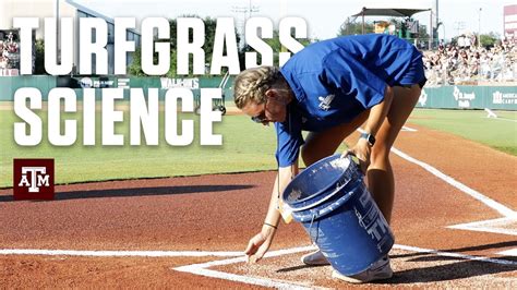 Turfgrass Science Texas Aandm Students Help Prepare Olsen Field For