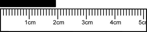 Standard Ruler Length Cheaper Than Retail Price Buy Clothing