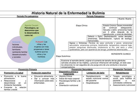 Historia Naturaaal De La Enfermedad La Bulimia Ambiente Factores