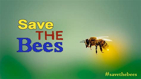 Save The Bees Protect Our Endangered Pollinators Honey Bees Youtube