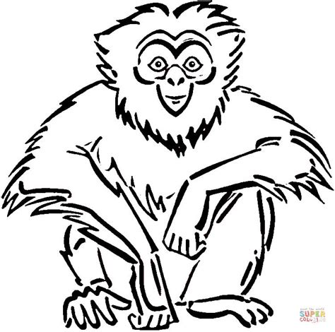 Download Sitting Gibbon coloring page | Free Printable Coloring Pages