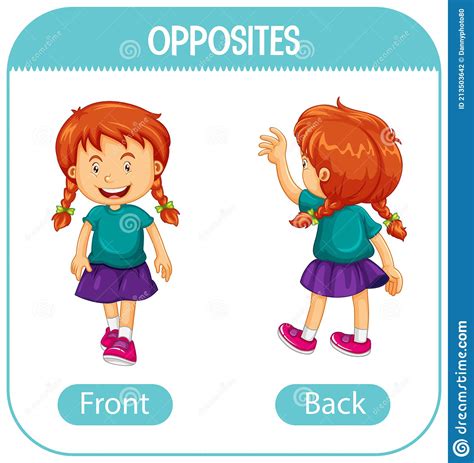 Opposite Words With Front And Back Stock Vector Illustration Of