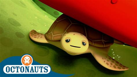 Octonauts Saving A Loggerhead Sea Turtle Cartoons For Kids