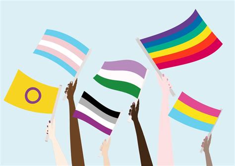 Why Gender Identity And Sexuality Aren T Mutually Exclusive Bestcolleges