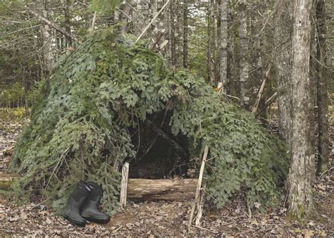 Types Of Survival Shelters All You Need To Know 2021 Geardisciple