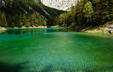 Premium Photo Green Water Of Gruner See Lake In Styria Austria