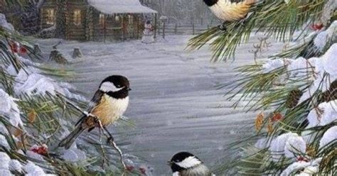 Beautiful Chickadees In A Winter Snowy Scene Birds