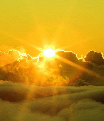 Image Result For Sun Aesthetic Yellow Aesthetic Sunrise Shades Of