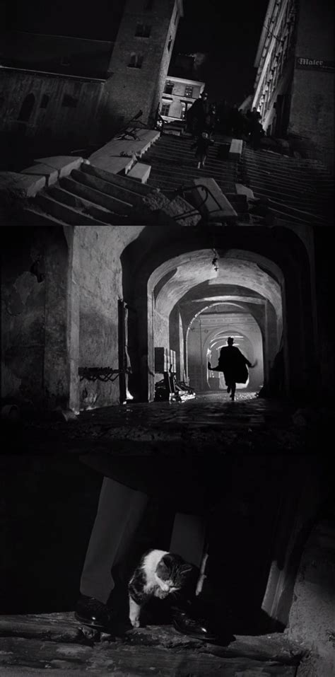 The Third Man 1949 Directed By Carol Reed Cinematography By
