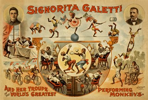 Vintage Performing Monkeys Poster Free Stock Photo Public Domain Pictures