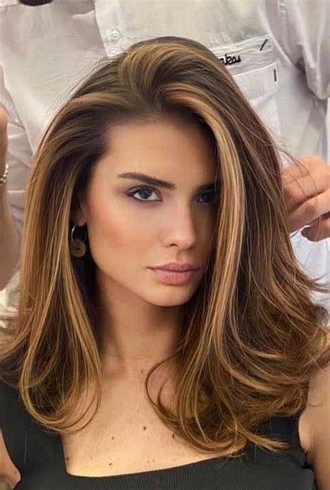 Pin On Brunette Hair Color With Highlights