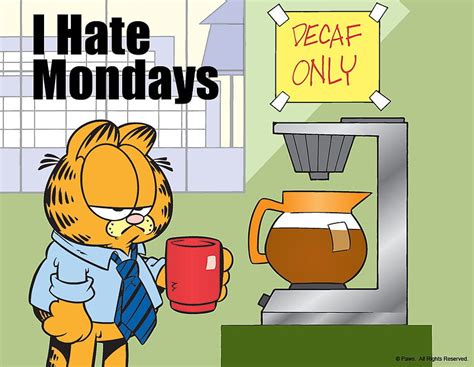 I Hate Mondays Garfield Garfield I Hate Mondays Hd Wallpaper Pxfuel