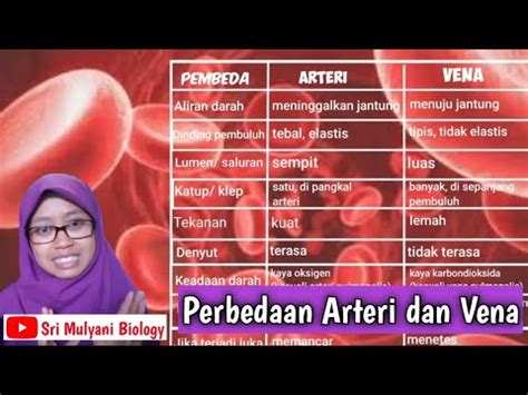 Perbedaan Arteri Dan Vena Detail Youtube