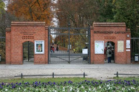 Ist im botanischen museum immer zu sehen, was im garten nur an wenigen tagen oder wochen eines jahres zu beobachten. Berlin meine Heimatstadt