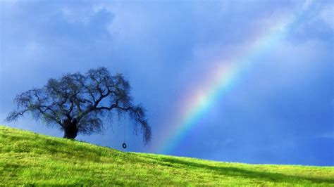 Jaspreet Rekhi 30 Beautiful Rainbows And Lightnings Full