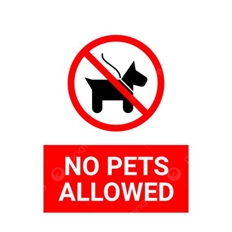 No Pets Allowed Sign No Pets Allowed No Pets Icon No Pets Png And