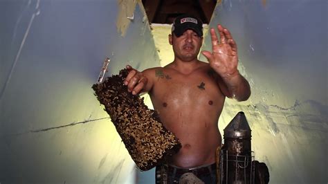 Honey Bee Hive Removal One Of Two Hives At Home In Harlingen Tx By Luis Slayton Of Bee Strong