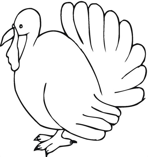 Free 17 Turkey Cliparts In Vector Eps Psd