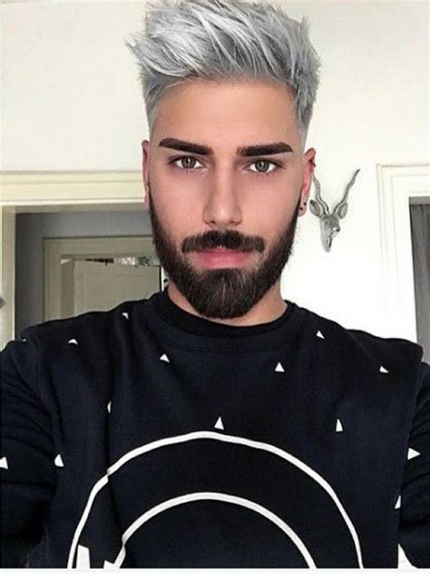 Pin By Alexis Sassano On Cheveux Long Hair Styles Men Silver Hair