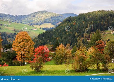 Autumn Colours In Wagrain Austria Stock Photo Image Of Mountains