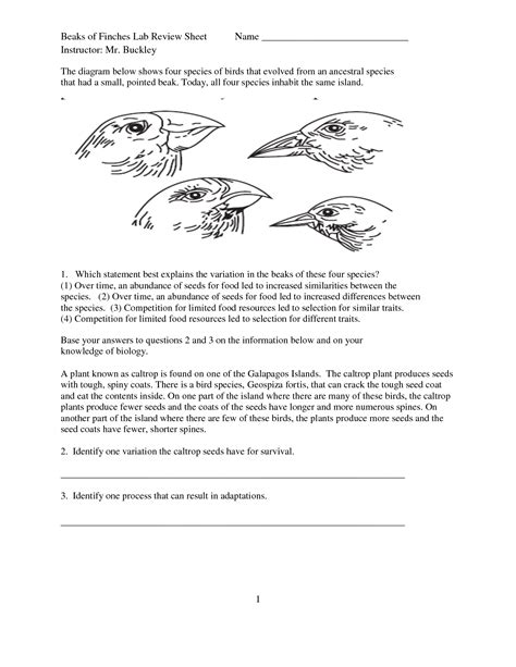 Johnny bell, kyle morton, samantha rhoades, and aiyana mary. 9 Best Images of Worksheets Bird Info - Bird Body Parts Coloring Sheets, Possessive Nouns ...