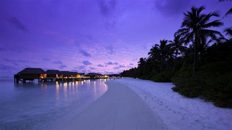 night lights maldives tropical beach bungalow ocean night beach wallpaper 4k 2560x1440