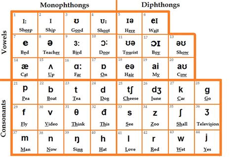 Bảng Chữ Cái Phiên âm Tiếng Anh Ipa Đồng Phục Trung Anh