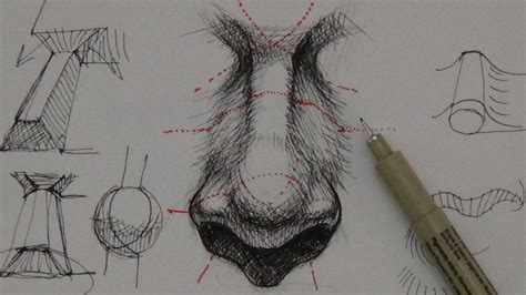 Pen And Ink Drawing Tutorials How To Draw A Realistic Nose Art