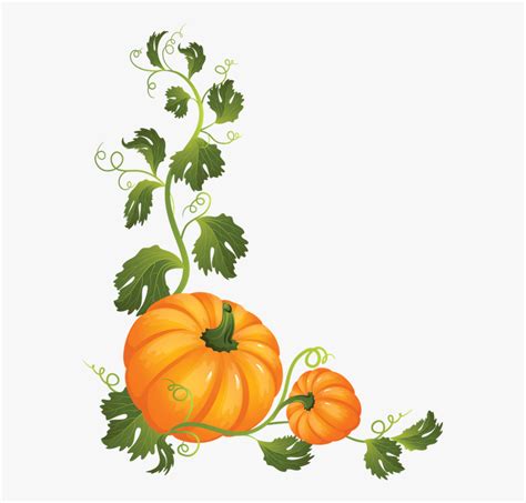 Pumpkin On A Vine Clipart 10 Free Cliparts Download Images On