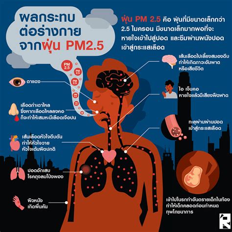 แพทย์ชี้ฝุ่น pm 2 5 เล็กทะลุปอดเข้ากระแสเลือด ส่งผลกระทบต่อร่างกายหลายจุดทั่วร่าง ฅนข่าว