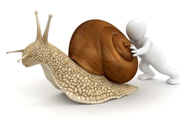 Researchers of the study clocked the snail's maximum speed at approximately 0.66 inches per minute (1.67 centimeters per minute), concluding that they can travel up to around 82 feet (25 meters) in 24 hours. Intervention at the Last Moment or Why We Need Better ...