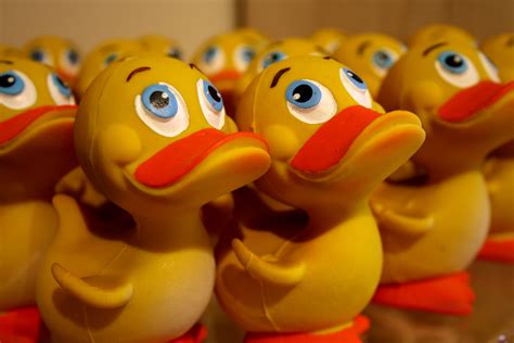 The Original Duckies Youre The One Rubber Ducky The Originals Cute