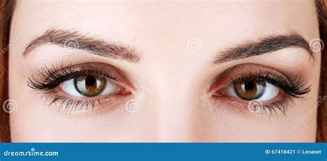 Eyes Close Up Stock Image Image Of Eyelashes Medical 67418421