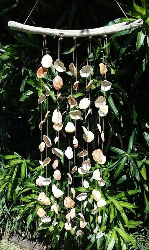 Maybe you would like to learn more about one of these? Seashell, Driftwood Wind Chime/ Wall Hanging | Susy's Seashell Creations on Madeit