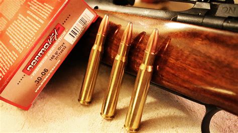 3 Rifle Cartridges To Hunt The World An Official Journal Of The NRA